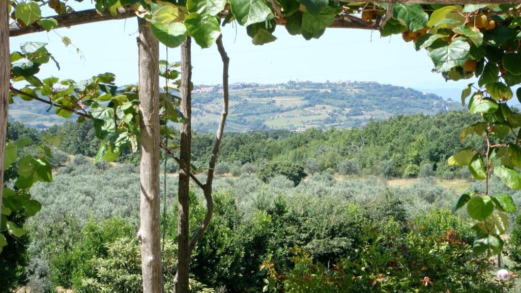 Podere Riparbella Massa Marittima Exterior foto